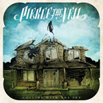 Collide With The Sky Album